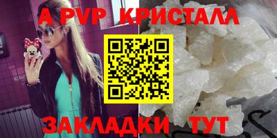 стаф Шебекино