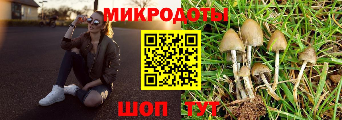 Галлюциногенные грибы мухоморы Печора